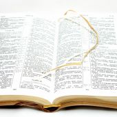 Библия каноническая (переплет из иск. кожи; рисунок обложки: крылья)
